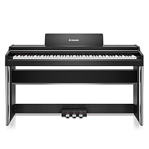 Donner DDP 200 Pro Graded Hammer Action Digital Piano, Black